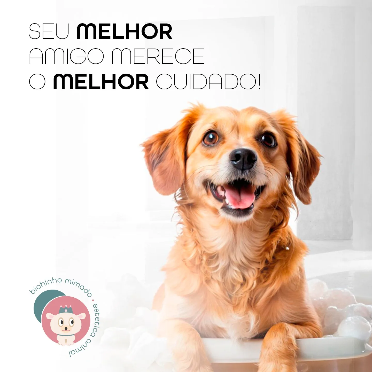 Bichinho Mimado — Seu melhor amigo merece o melhor cuidado
